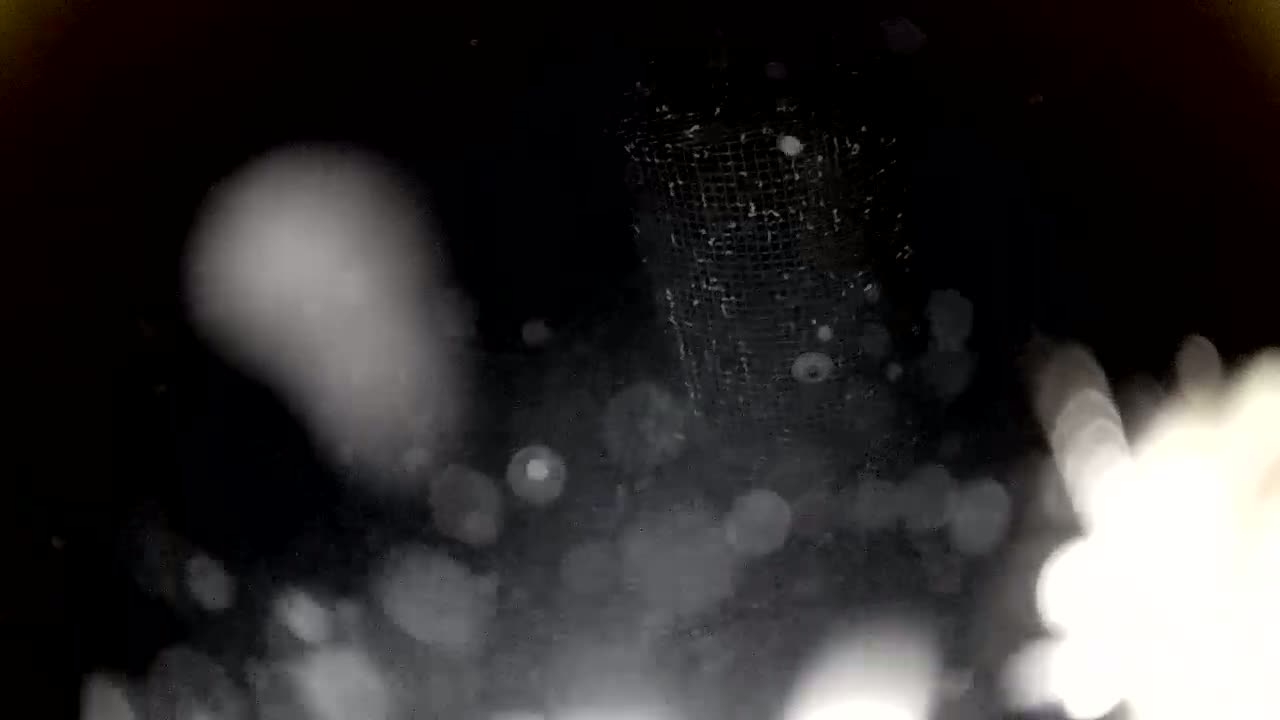 A wire mesh container is partially visible in the darkness, surrounded by blurry, white specks suggesting snow or airborne particles.