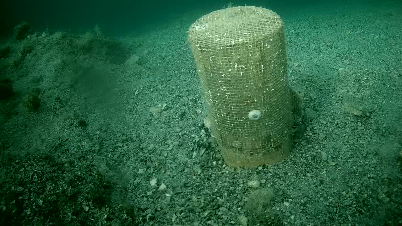 An underwater, cylindrical object wrapped in mesh sits on a dark-green, gravelly seabed.