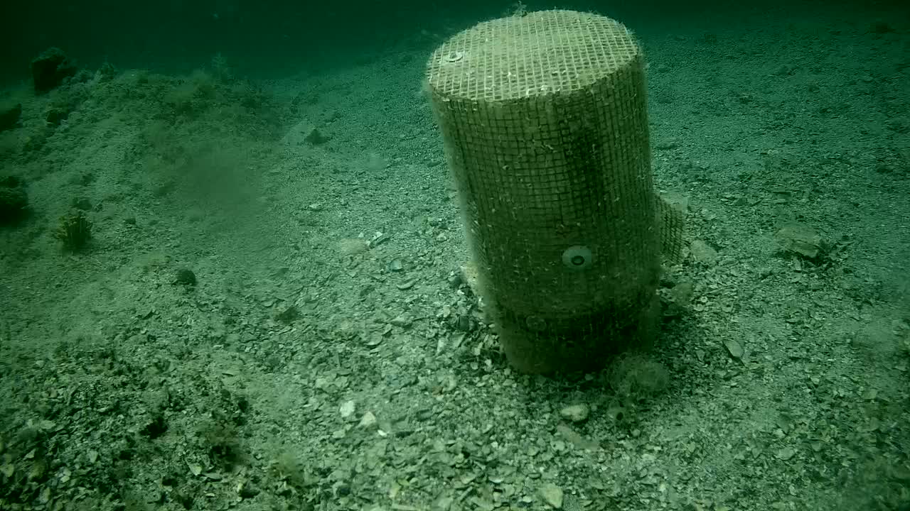 Underwater, a cylindrical structure encased in mesh rests on a seabed of dark green gravel.