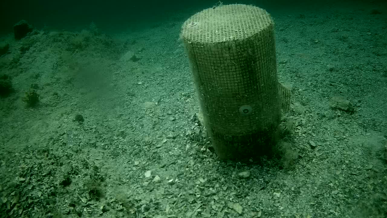 An underwater, cylindrical, mesh-covered structure sits on a dark green, gravelly seabed.