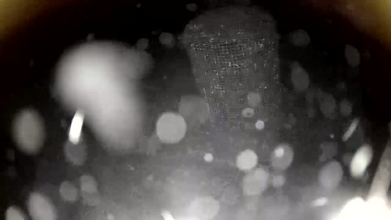 A blurry image shows a wire mesh container in the snow.