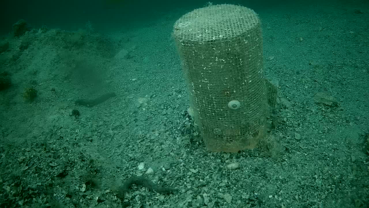 Sibenic Adriatic Underwater Fish World Live Cam - Šibenik, Grad Šibenik, Šibenik-Knin, Croatia