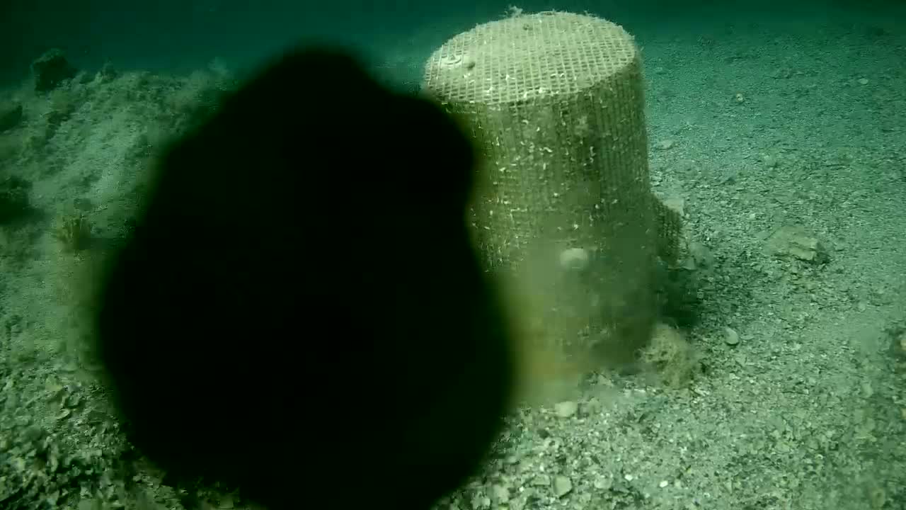 An underwater scene shows a large, cylindrical, mesh-covered object on a gravelly seabed, partially obscured by a dark, out-of-focus object in the foreground.