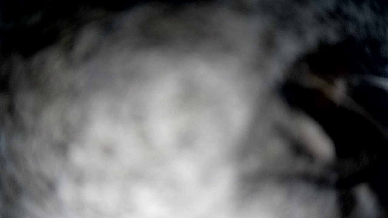 A blurry image shows a hazy, dark gray and white mass.