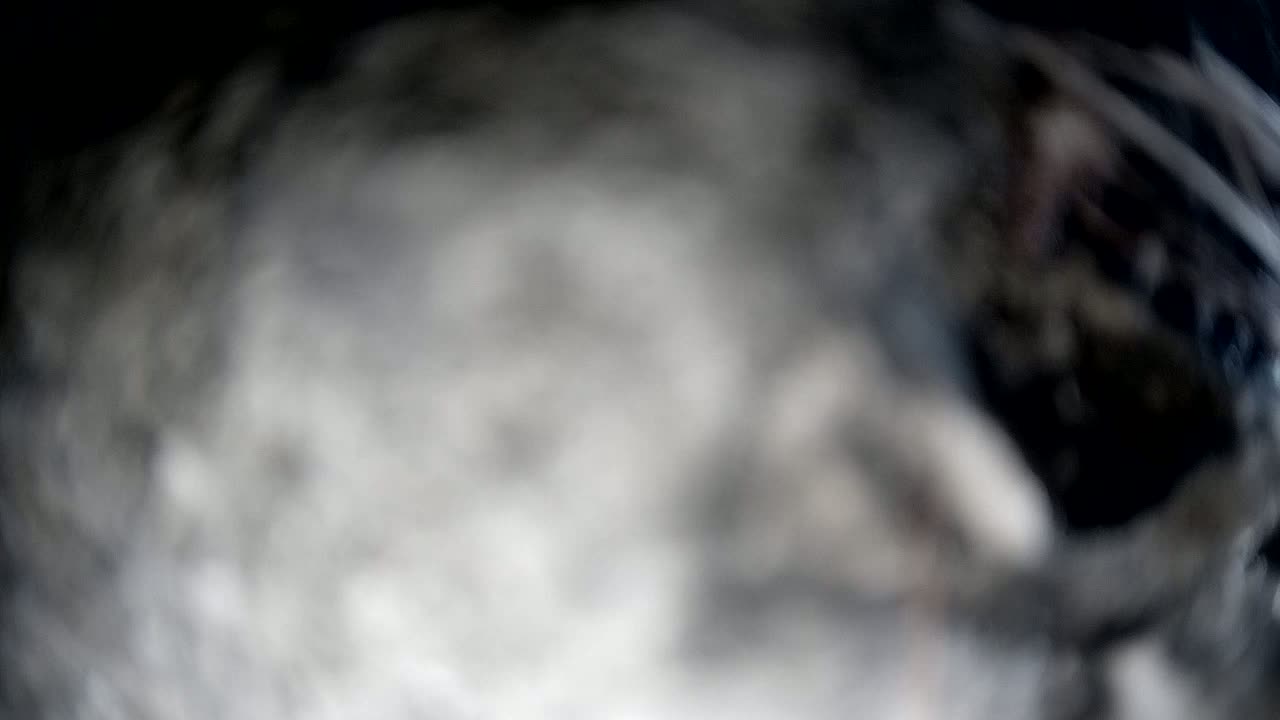 A blurry, out-of-focus image shows a mass of gray and black shapes.