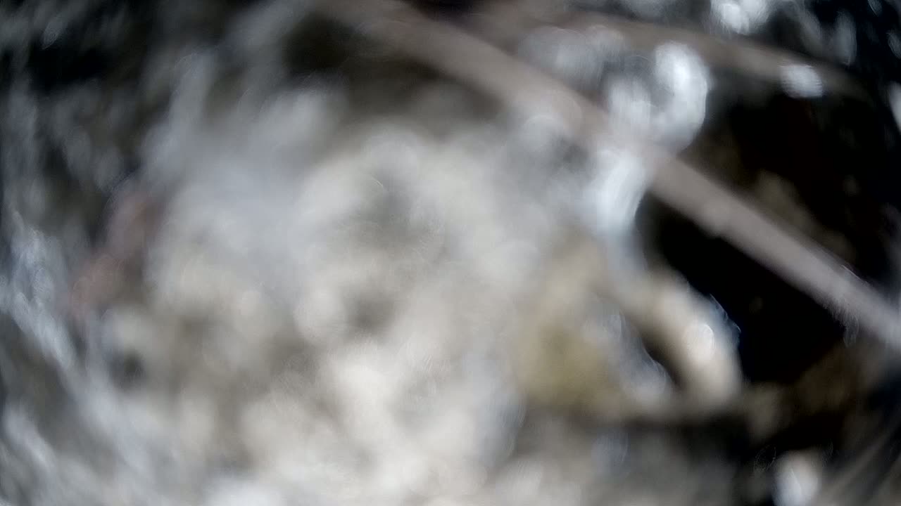 A blurry image shows a light gray substance being mixed by metallic wires within a dark container.