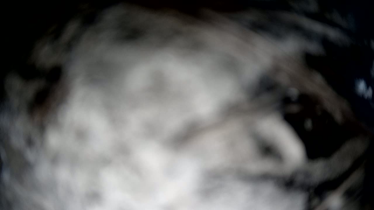 A blurry image shows swirling shades of gray and black.