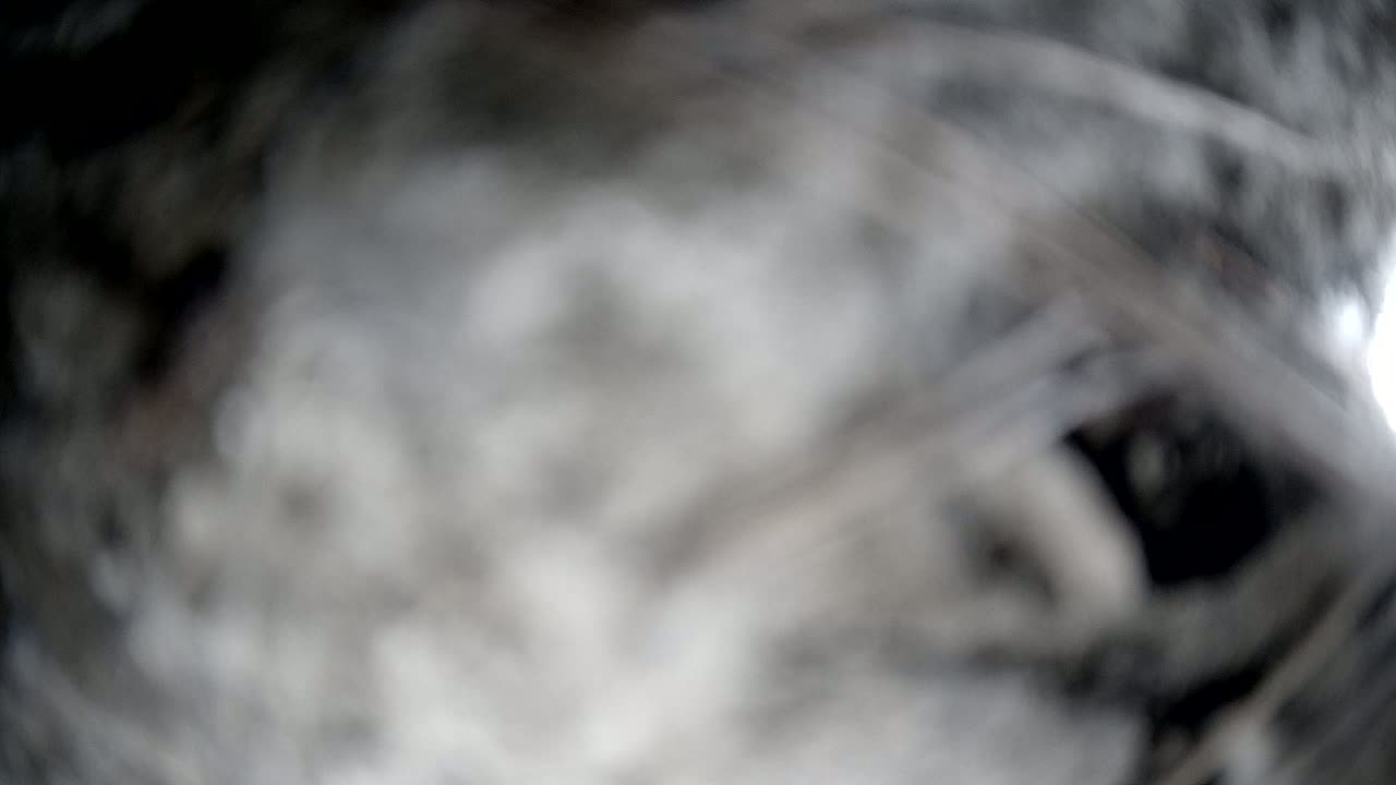 A blurry, out-of-focus image shows a swirling mass of gray and white, resembling smoke or fog.