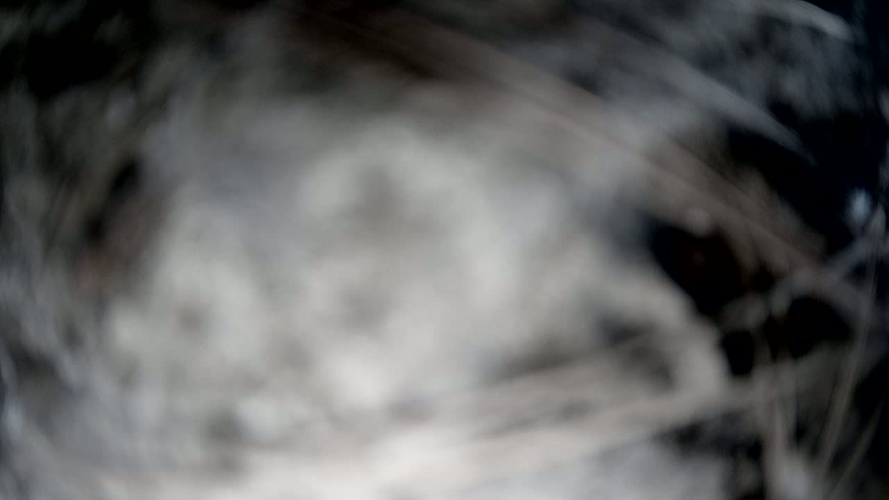 A blurry image shows mostly gray and white with darker areas, possibly depicting smoke or fog.