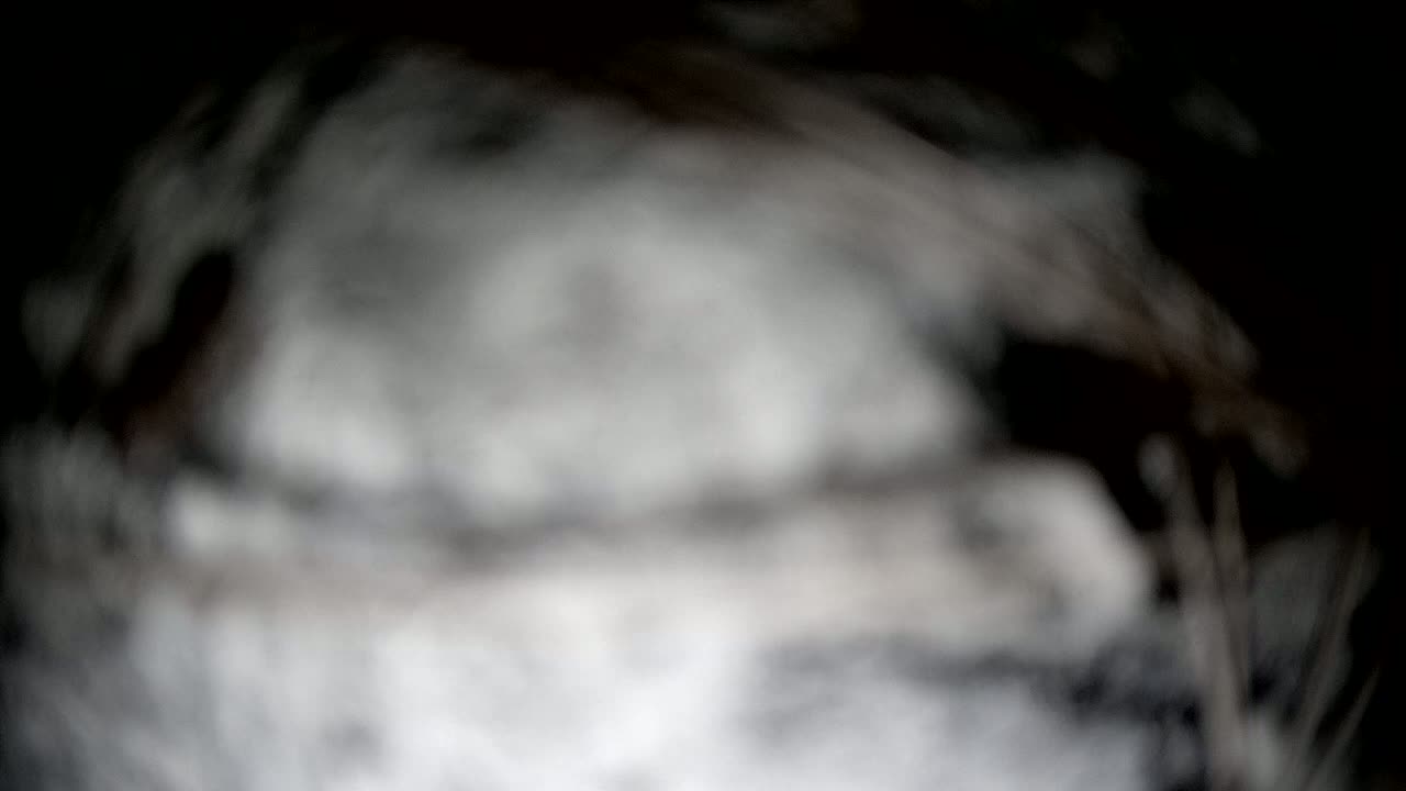 A blurry, out-of-focus image shows a swirling mass of gray and white, possibly smoke or fog.