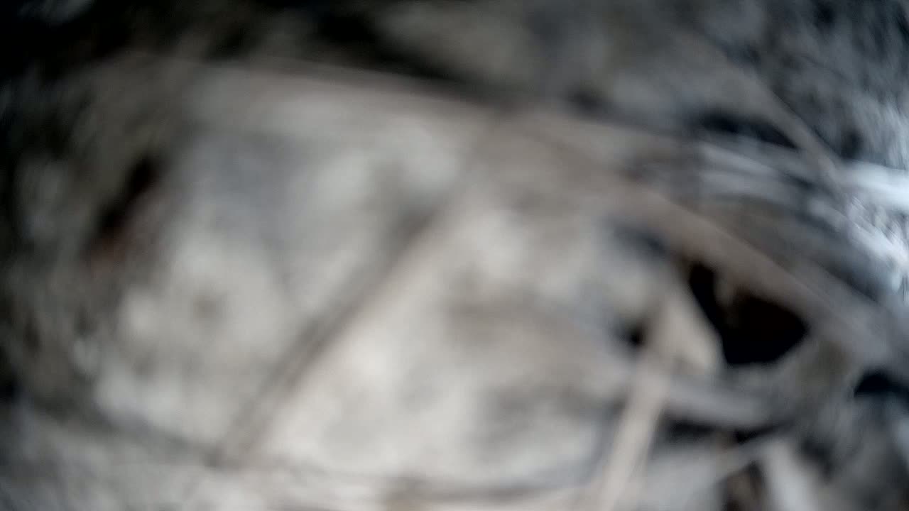A blurry image shows a pile of grayish-white and brown material, possibly fabric or debris.