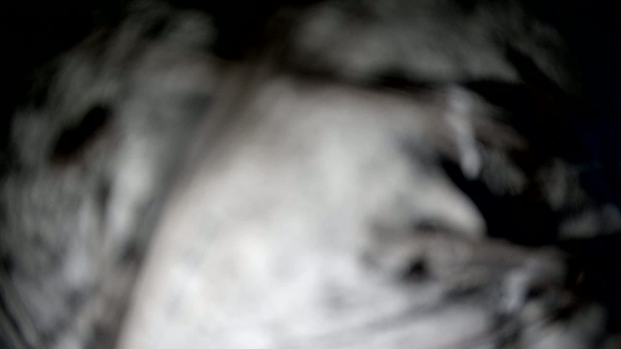 Sibenik Adriatic Underwater Fish World Live Cam - Šibenik, Grad Šibenik, Šibenik-Knin, Croatia