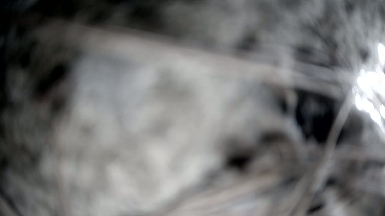 A blurry, out-of-focus image shows a mass of light and dark gray material.