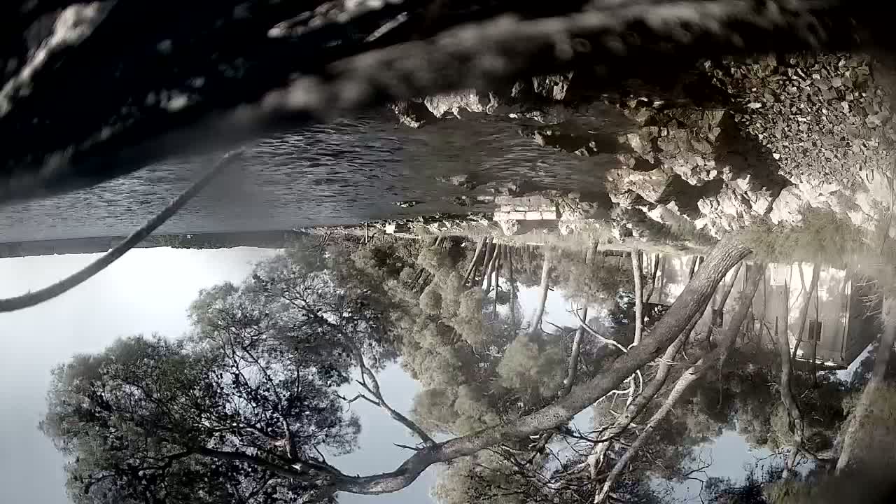 Sibenik Adriatic Underwater Fish World Live Cam - Šibenik, Grad Šibenik, Šibenik-Knin, Croatia