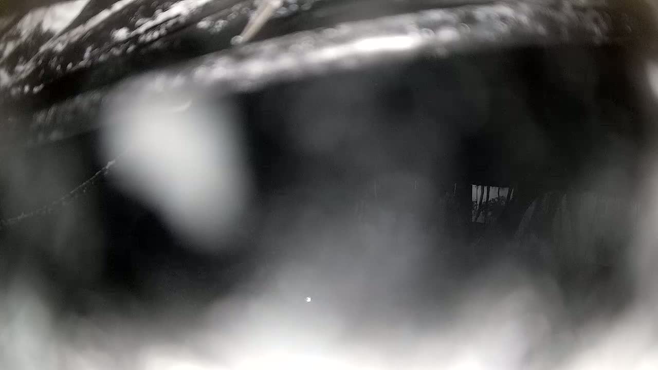 Sibenik Adriatic Underwater Fish World Live Cam - Šibenik, Grad Šibenik, Šibenik-Knin, Croatia