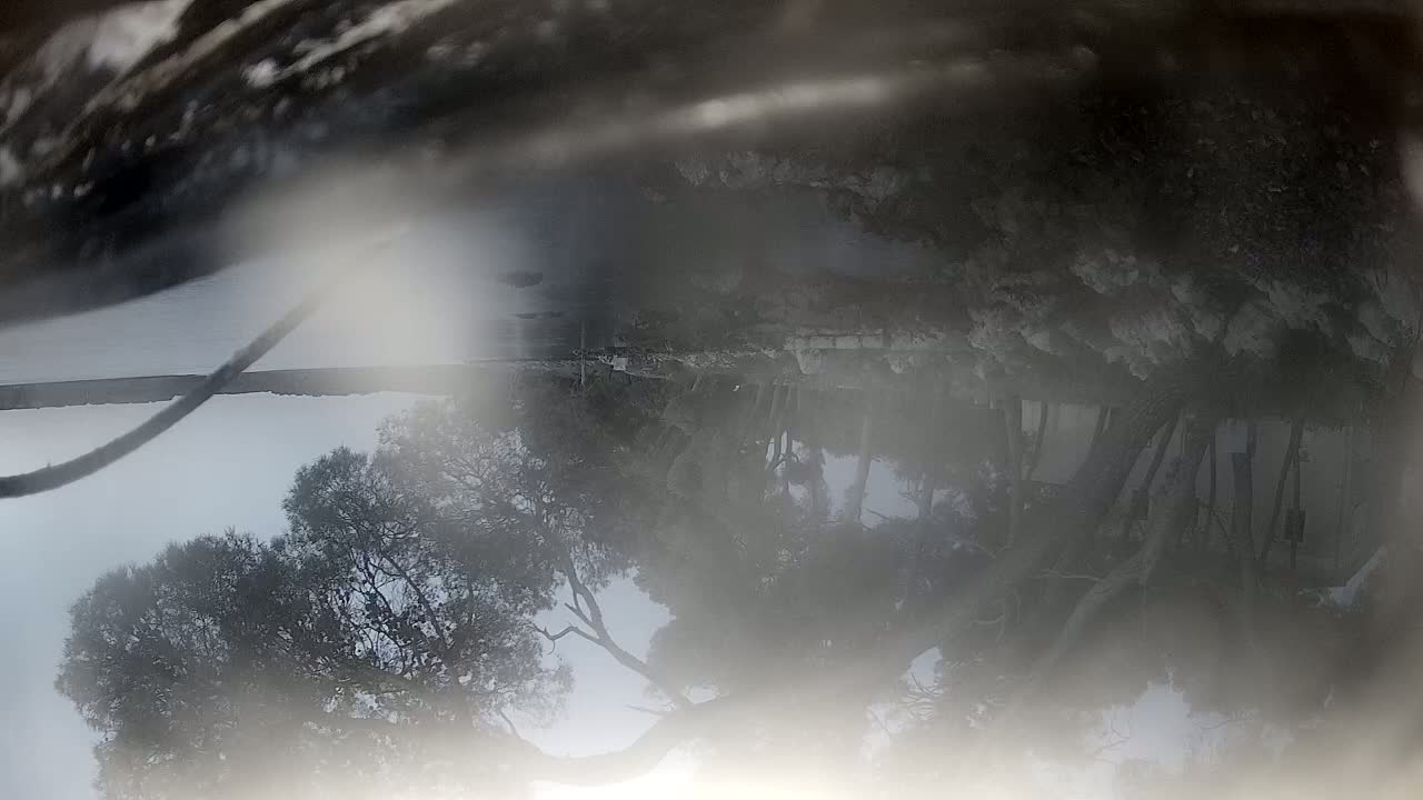 Sibenik Adriatic Underwater Fish World Live Cam - Šibenik, Grad Šibenik, Šibenik-Knin, Croatia