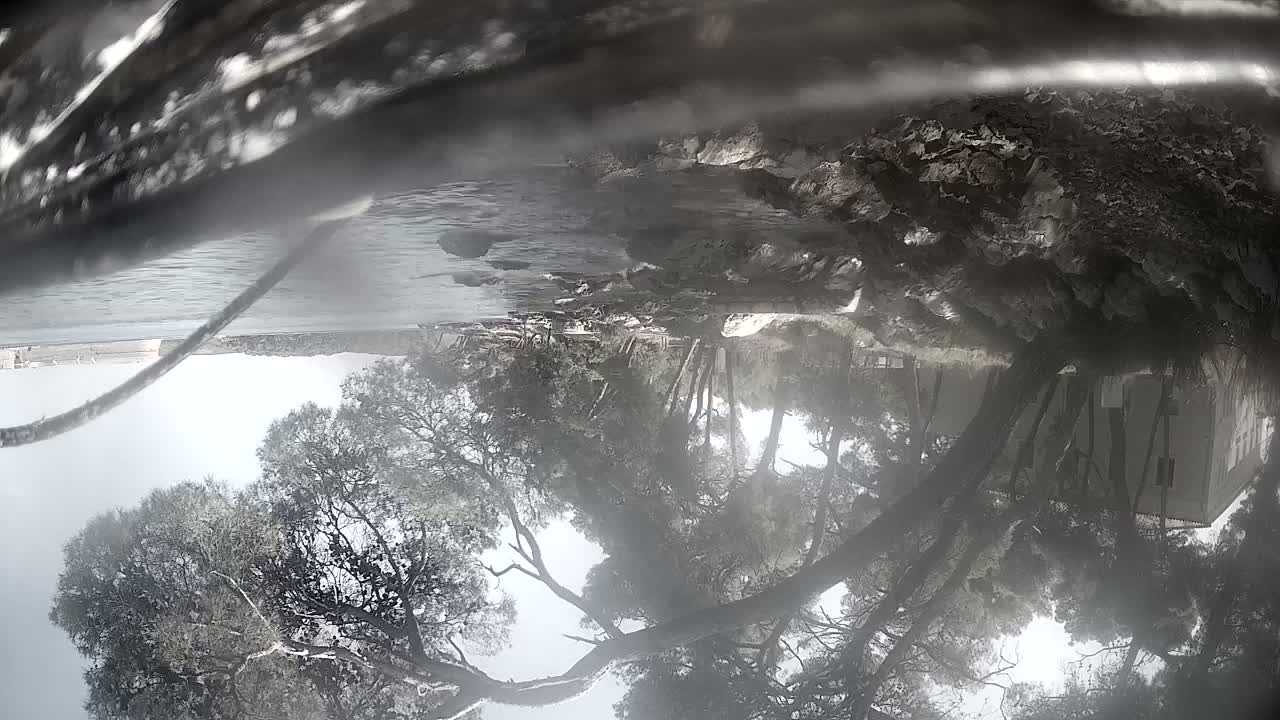 Sibenik Adriatic Underwater Fish World Live Cam - Šibenik, Grad Šibenik, Šibenik-Knin, Croatia