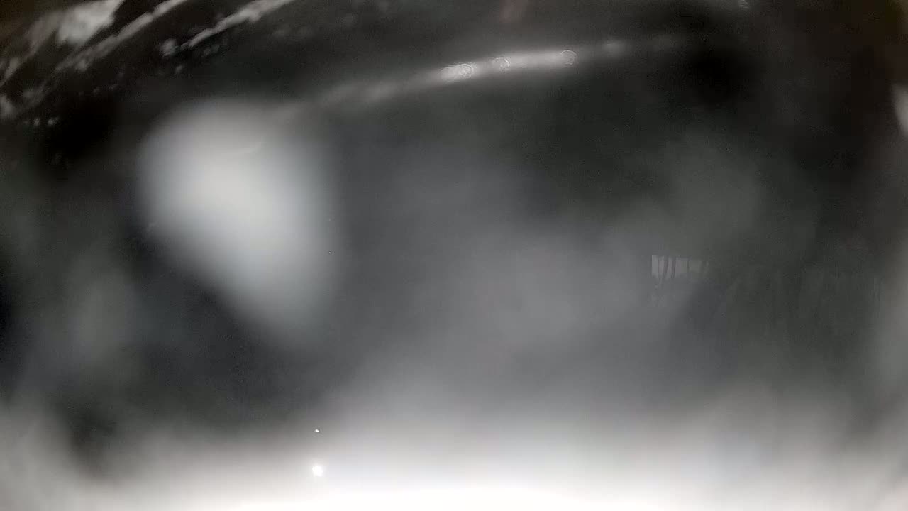 Sibenik Adriatic Underwater Fish World Live Cam - Šibenik, Grad Šibenik, Šibenik-Knin, Croatia
