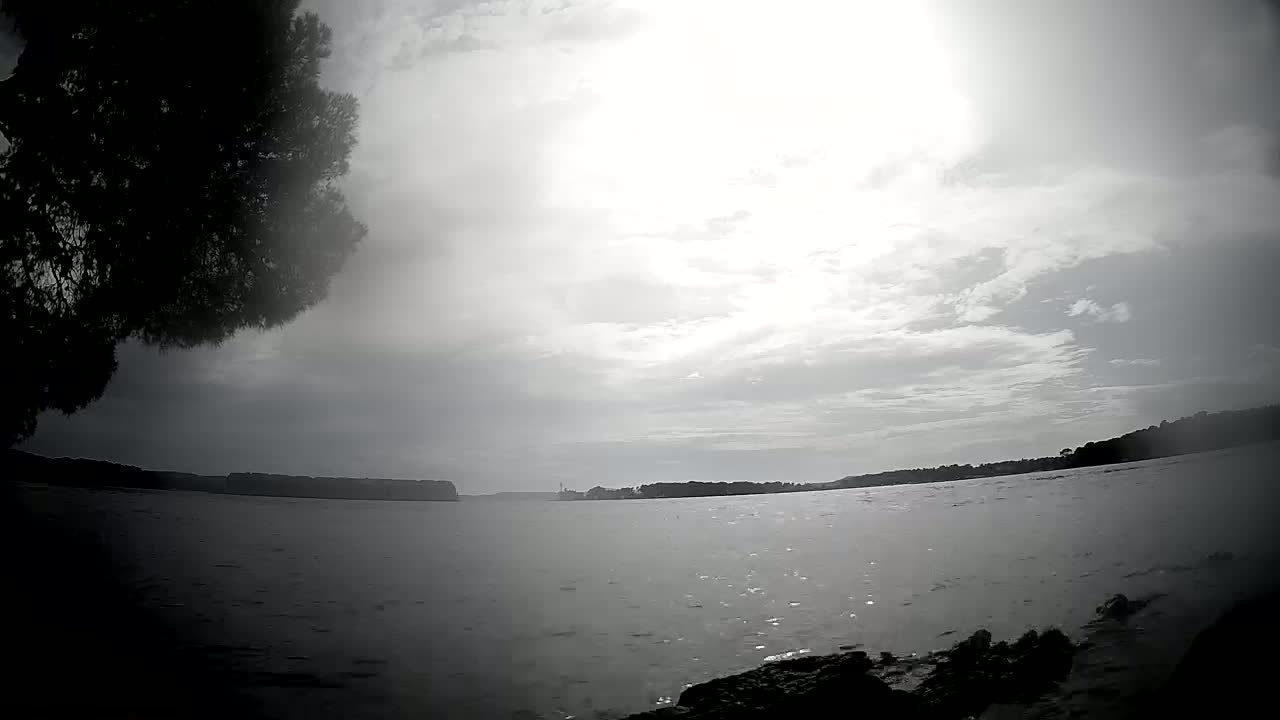 Sibenik Adriatic Underwater Fish World Live Cam - Šibenik, Grad Šibenik, Šibenik-Knin, Dalmatia, Croatia