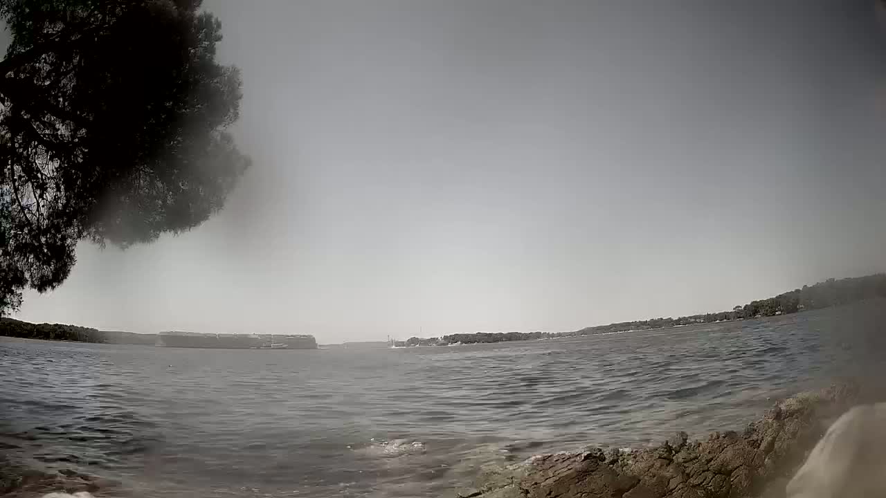 Sibenik Adriatic Underwater Fish World Live Cam - Šibenik, Grad Šibenik, Šibenik-Knin, Dalmatia, Croatia