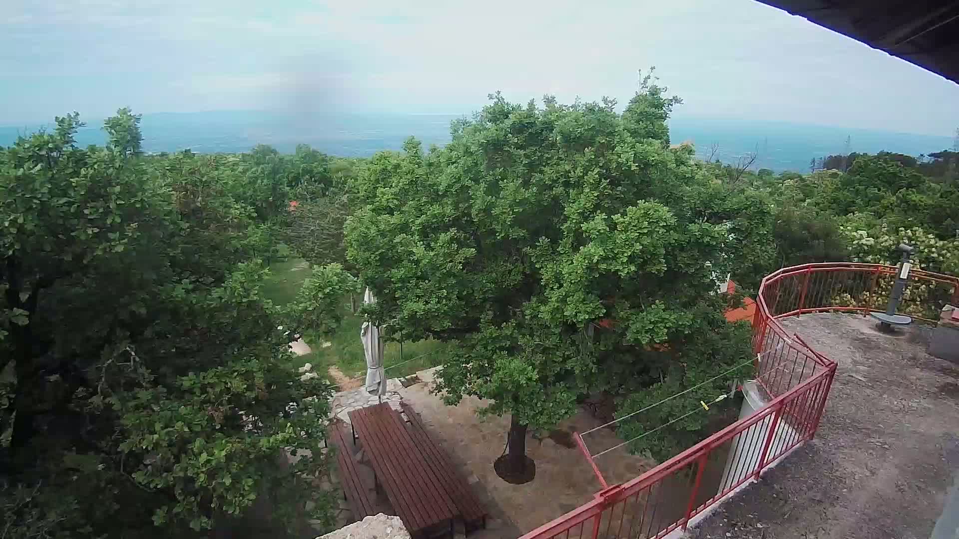 An elevated view shows a patio with a wooden table and chairs nestled amongst lush green trees overlooking a calm sea under a mostly cloudy sky.