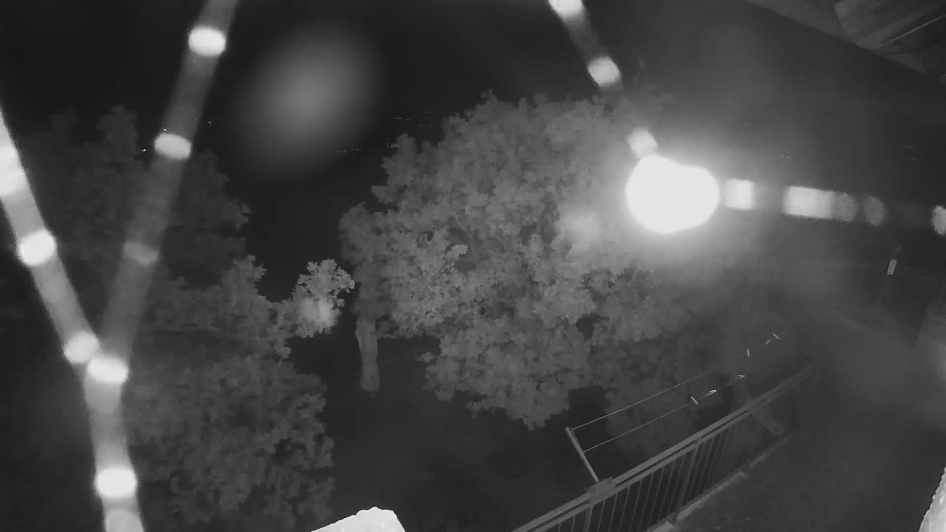 A nighttime, blurry view from above shows a tree and part of a backyard with a railing, illuminated by a bright light source.