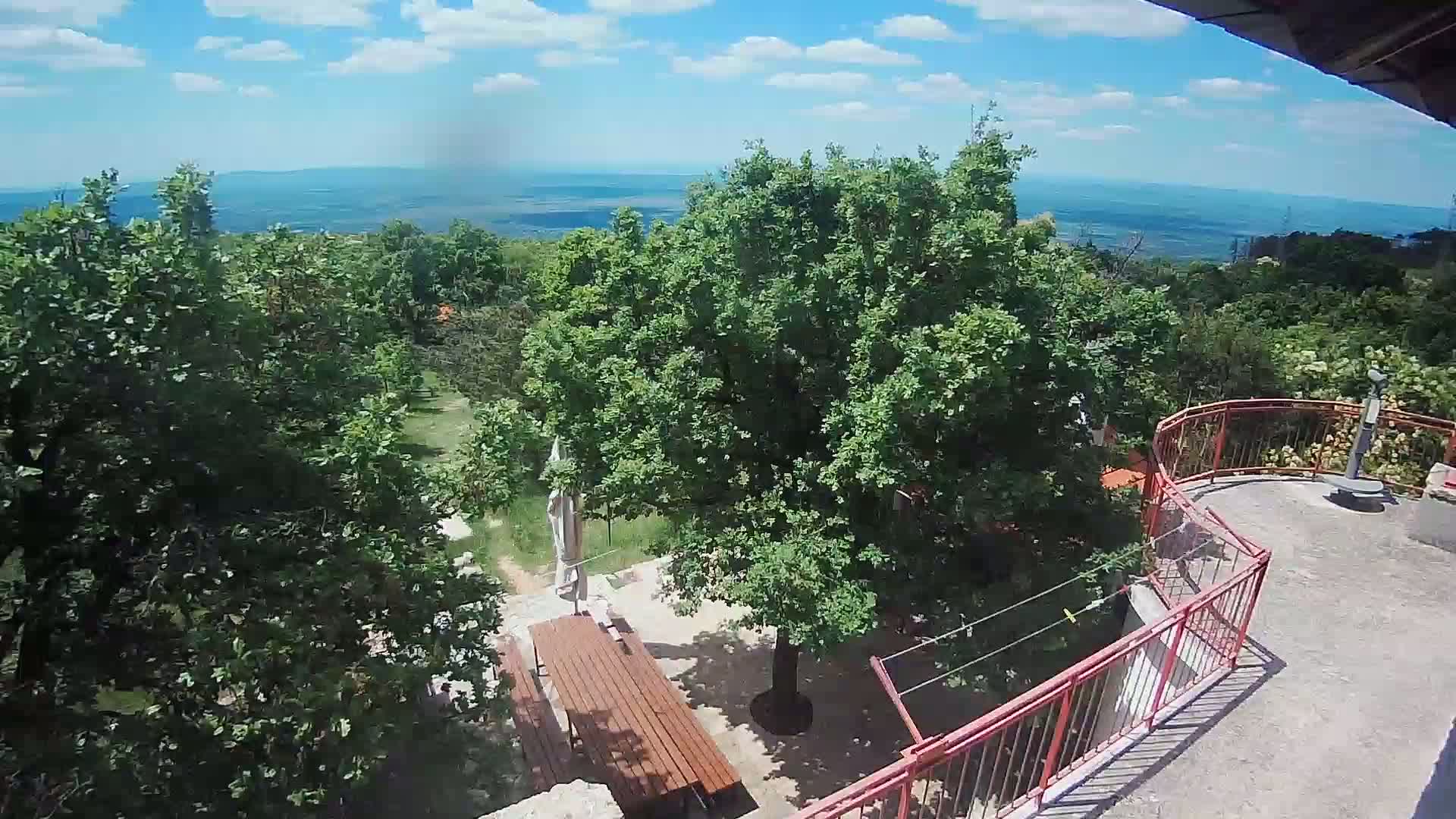 A sunny day reveals a patio with a wooden table under a large tree, overlooking a distant body of water and lush green hills.