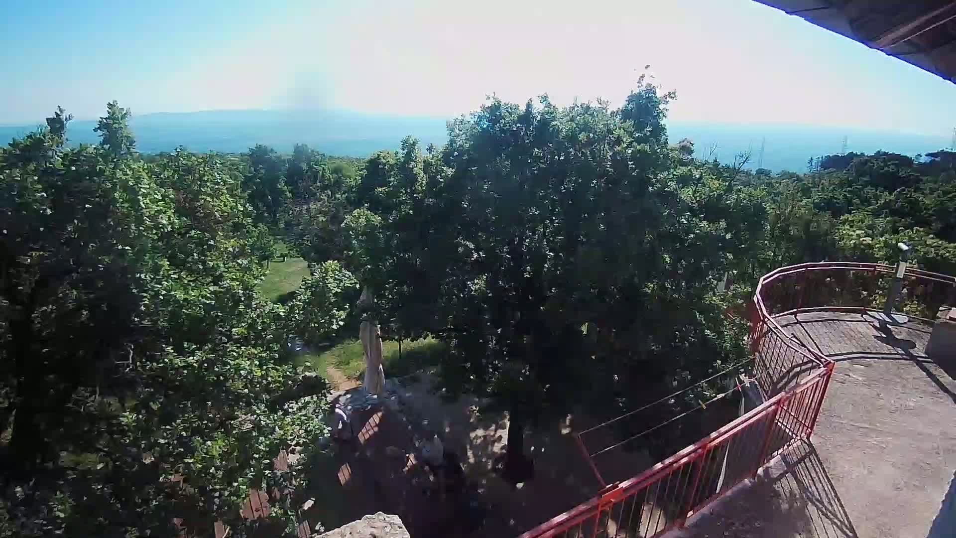 A high-angle view shows a leafy green landscape with a distant body of water under a clear, sunny sky, partially obscured by the trees and seen from an elevated vantage point with a red railing.