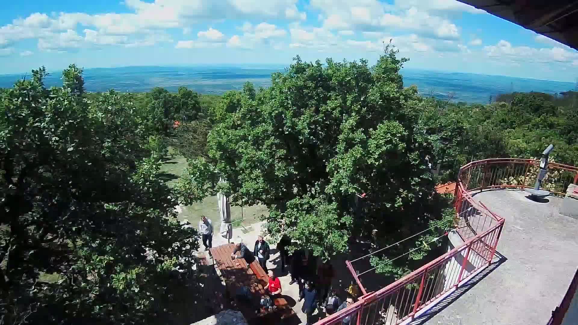 A high-angle view shows a group of people gathered around tables outdoors on a sunny day, surrounded by lush green trees and overlooking a distant landscape under a partly cloudy sky.
