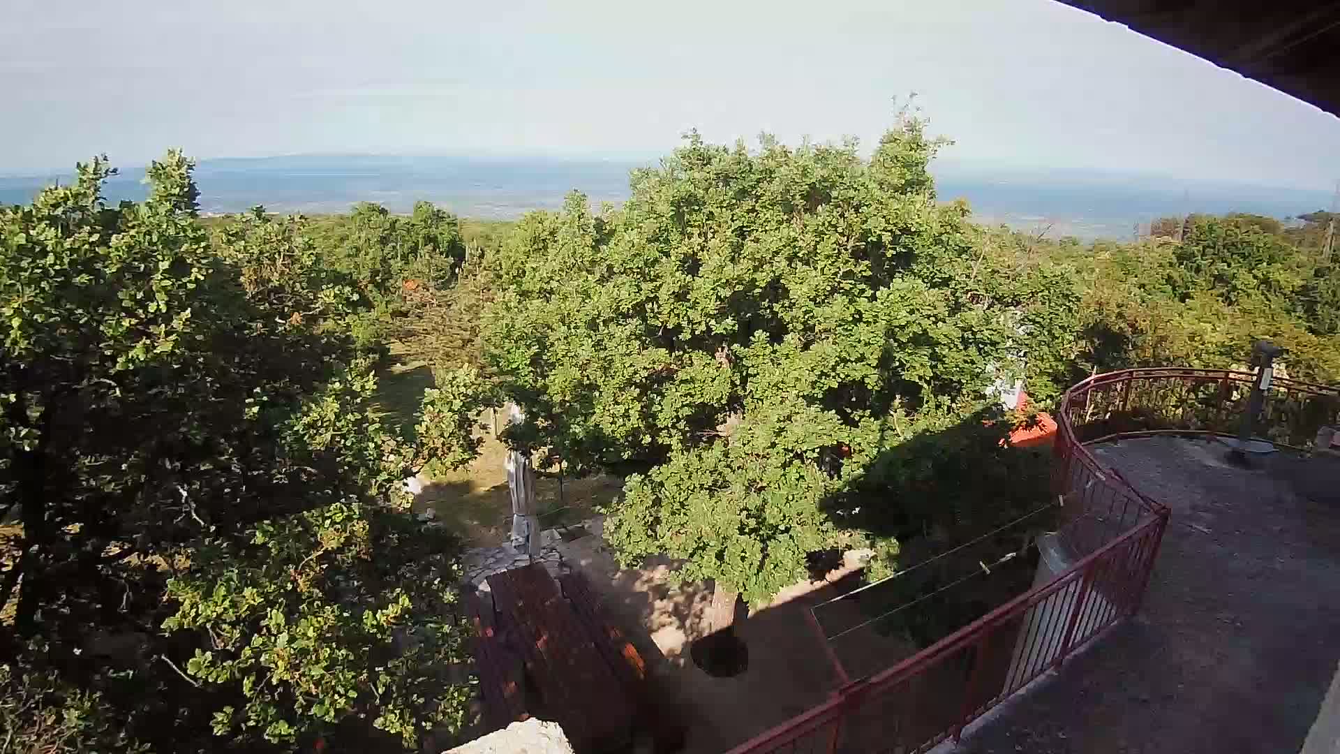 A high-angle view shows a patio with a wooden table and chairs, surrounded by lush green trees and foliage, overlooking a calm ocean under a clear sky.