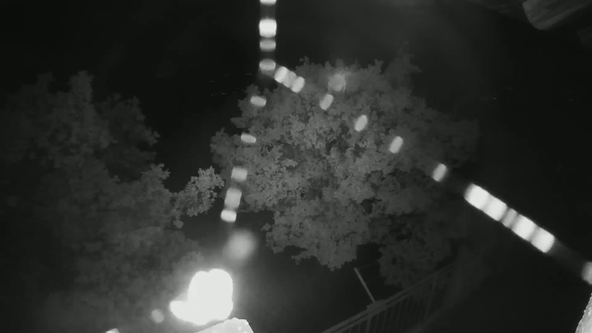 A nighttime, high-angle view shows a tree and part of a railing, with bright light sources and lens flares visible.