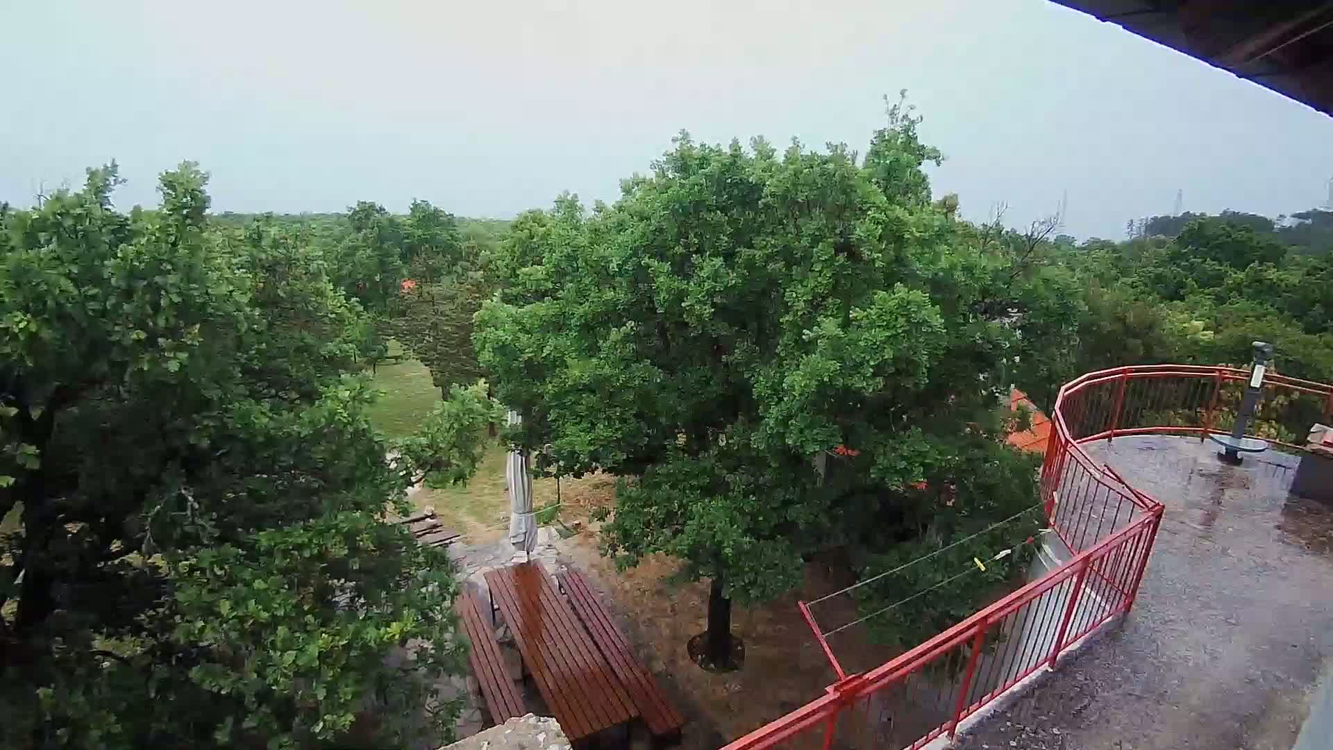A wet, elevated outdoor patio with a red railing overlooks a wooded area containing picnic tables under a large tree during rainy weather.