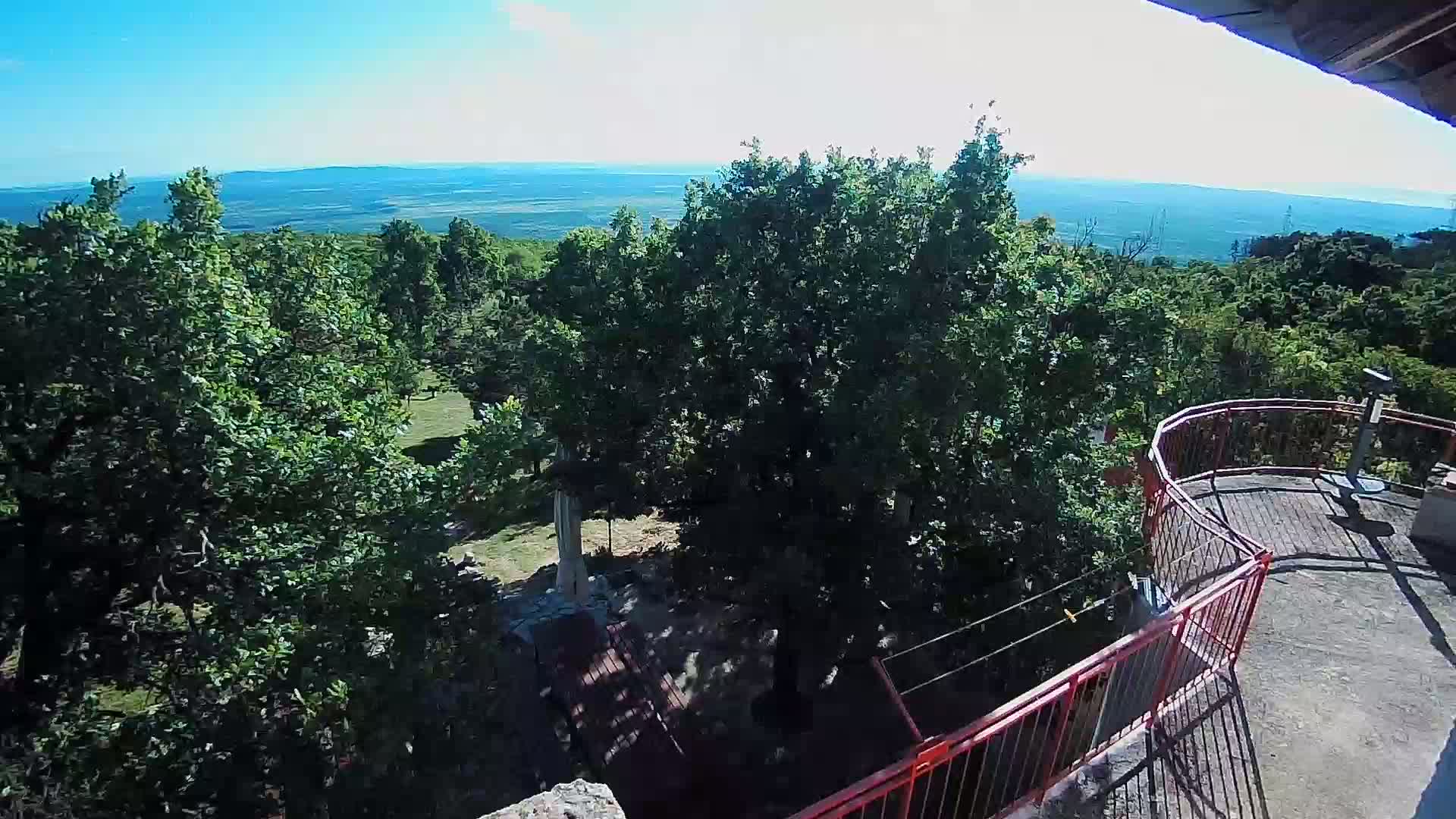 A sunny view from an elevated vantage point shows a landscape of lush green trees, a distant flat expanse under a clear blue sky, and a red metal railing nearby.