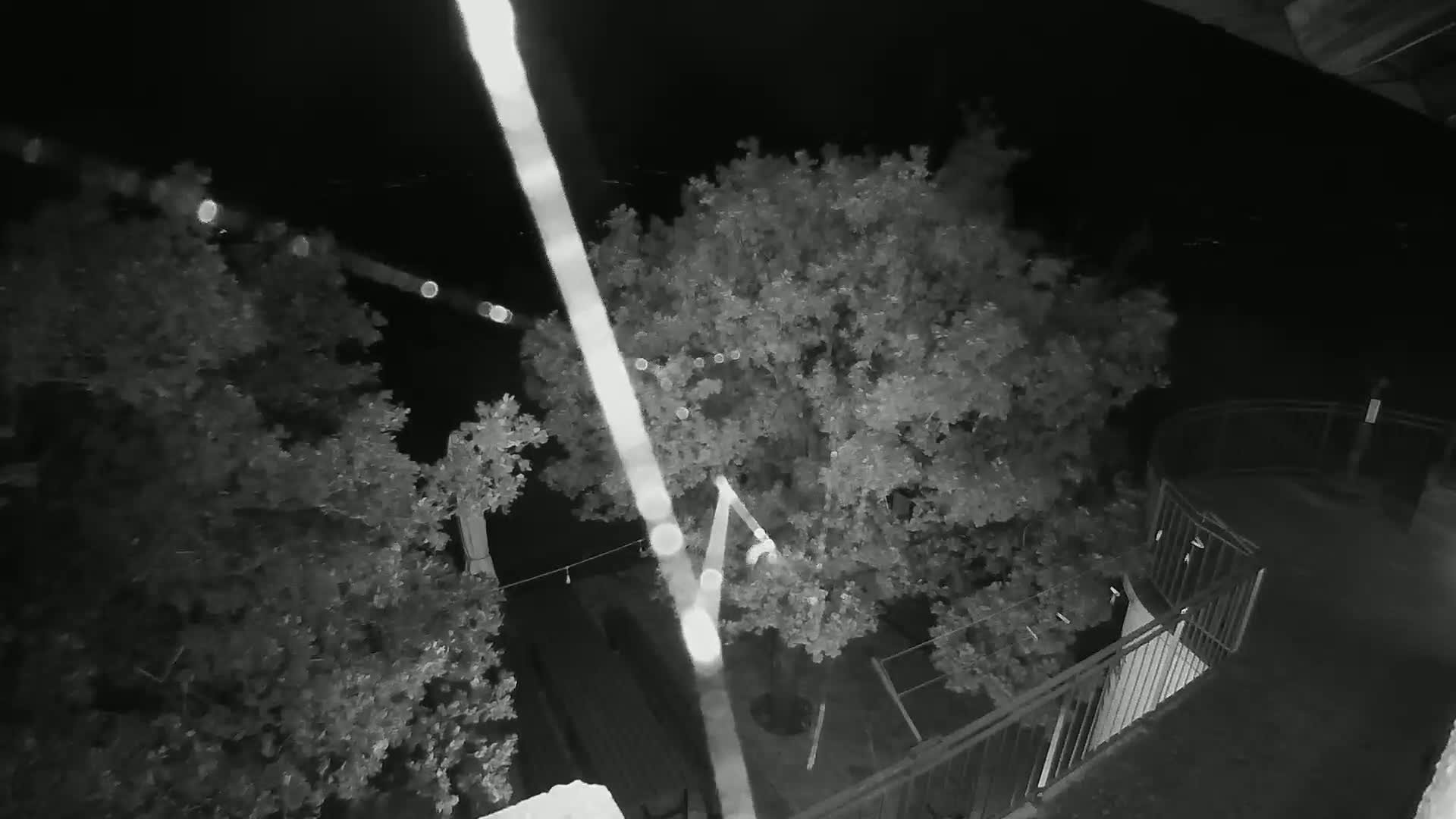 A nighttime, high-angle view shows several trees and a portion of a balcony railing.