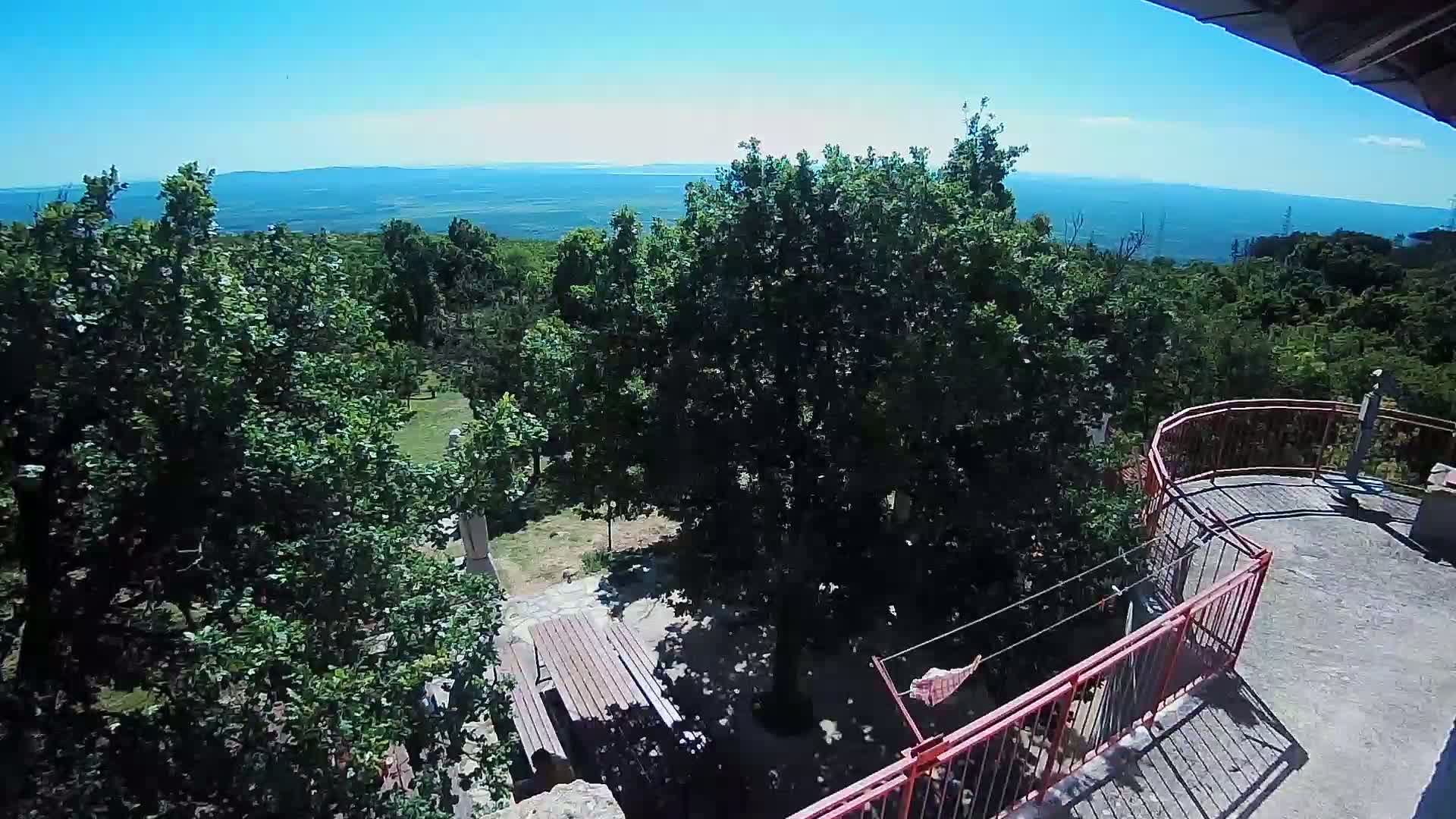 A sunlit outdoor patio with picnic tables overlooks a verdant landscape and a distant hazy blue body of water under a clear blue sky.