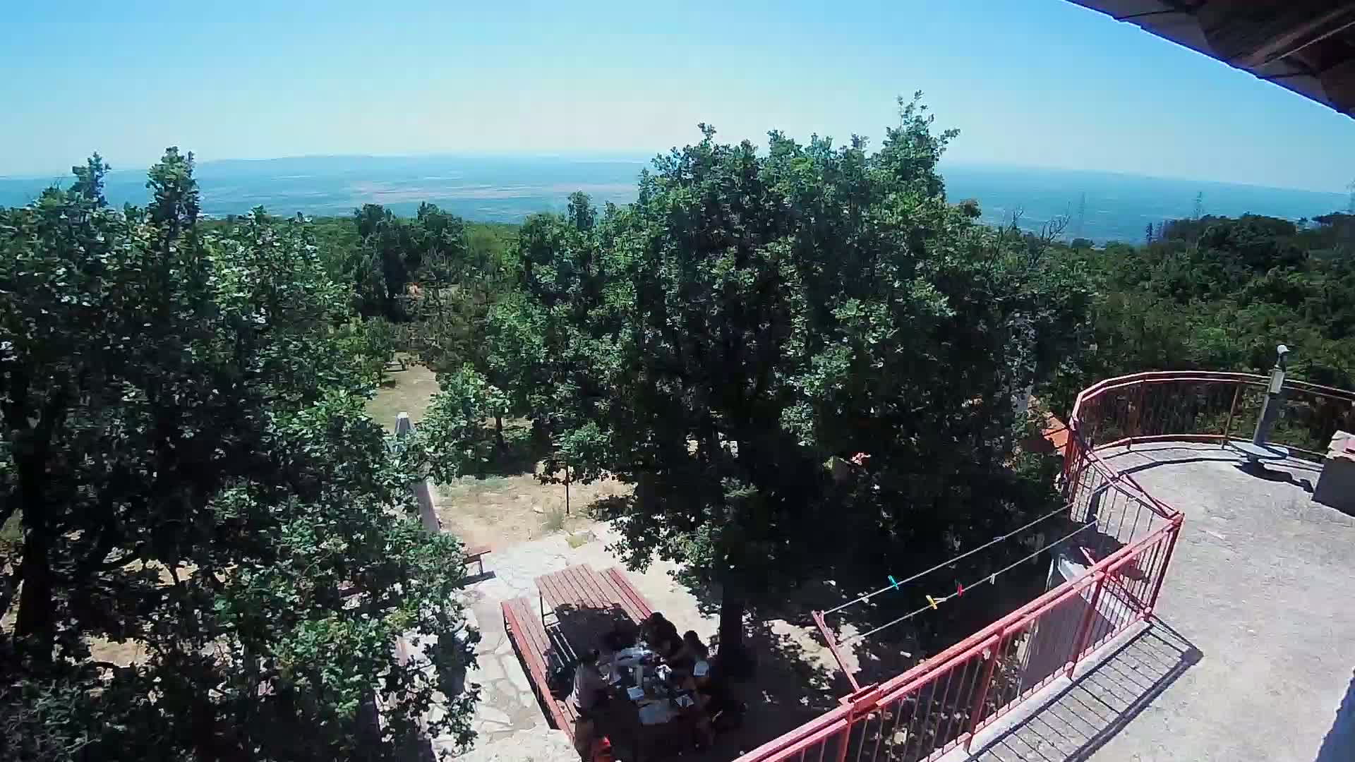 A high-angle view shows a group of people seated at an outdoor table in a wooded area on a sunny day, overlooking a distant body of water.