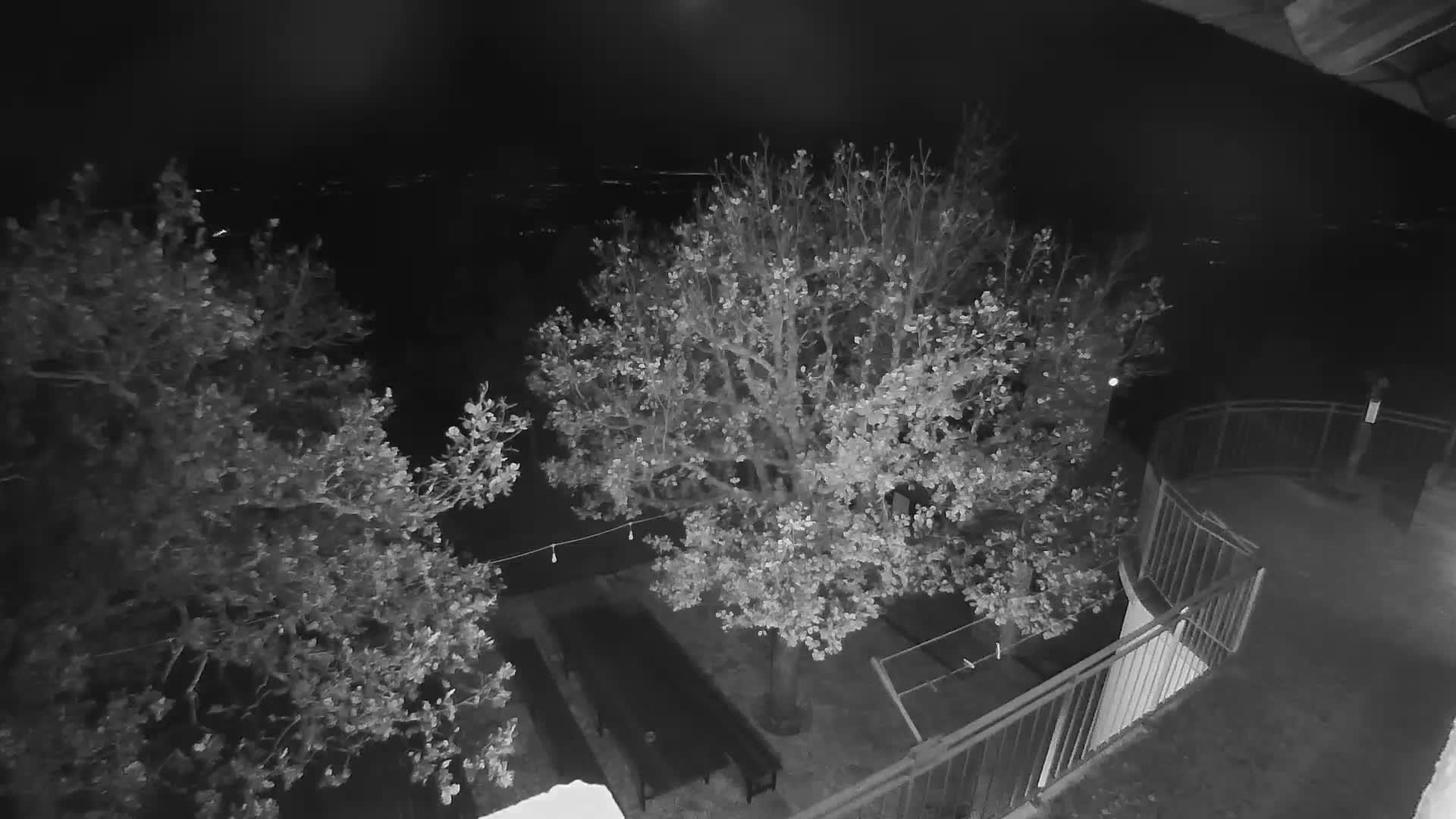 A night vision image reveals a clear outdoor scene at night with two prominent trees, an outdoor seating area with string lights below the central tree, a curved metal-railed walkway with a person, and distant city lights visible on the horizon.