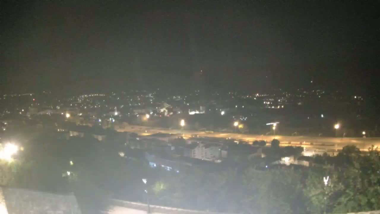 A nighttime, high-angle view shows a city illuminated by streetlights, with a road visible in the middle ground and trees in the foreground.