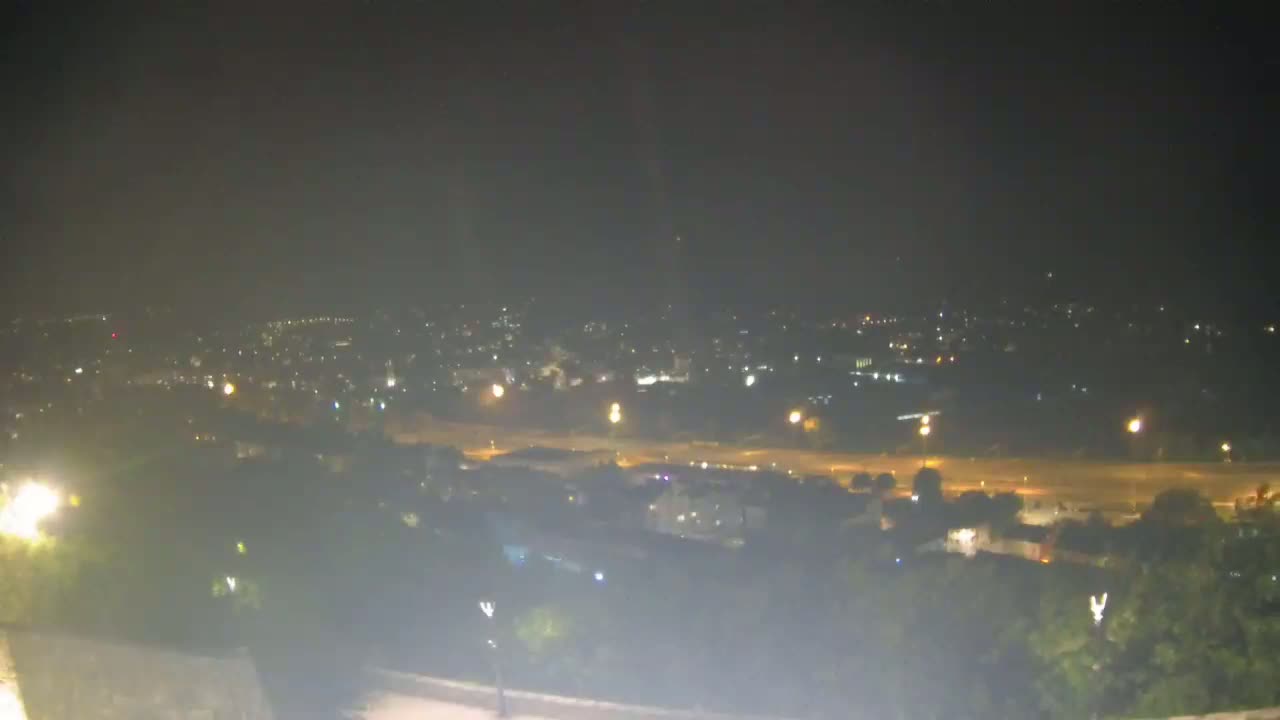 A hazy night view shows a sprawling city illuminated by scattered lights, viewed from a high vantage point overlooking a tree-lined area.
