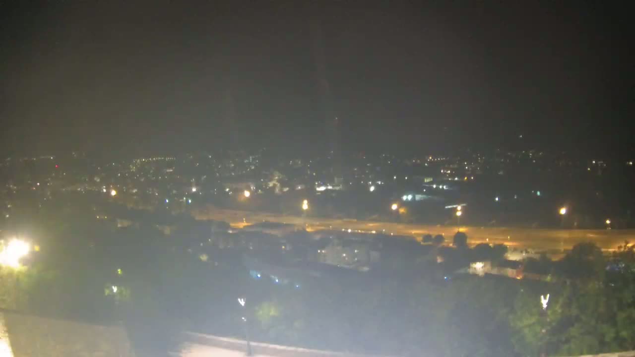 A nighttime, hazy view of a city illuminated by streetlights stretches out before a dark, tree-lined hill.