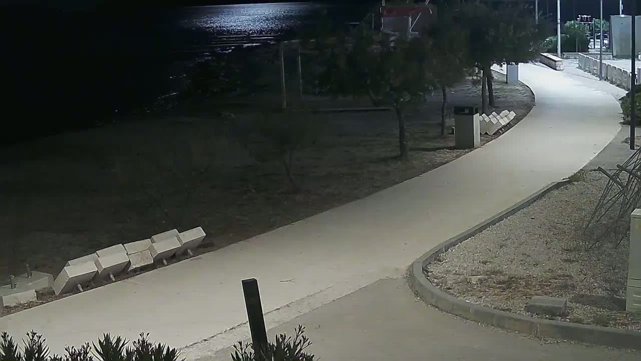 A paved walkway curves through a moonlit, nighttime seaside area with sparse vegetation and a calm body of water in the background.