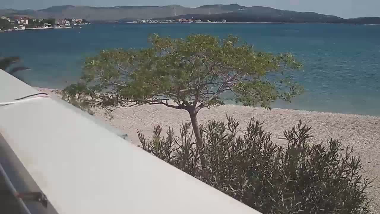 A light-colored sandy beach borders a calm, blue sea under a clear sky, with a small tree and low shrubs in the foreground.