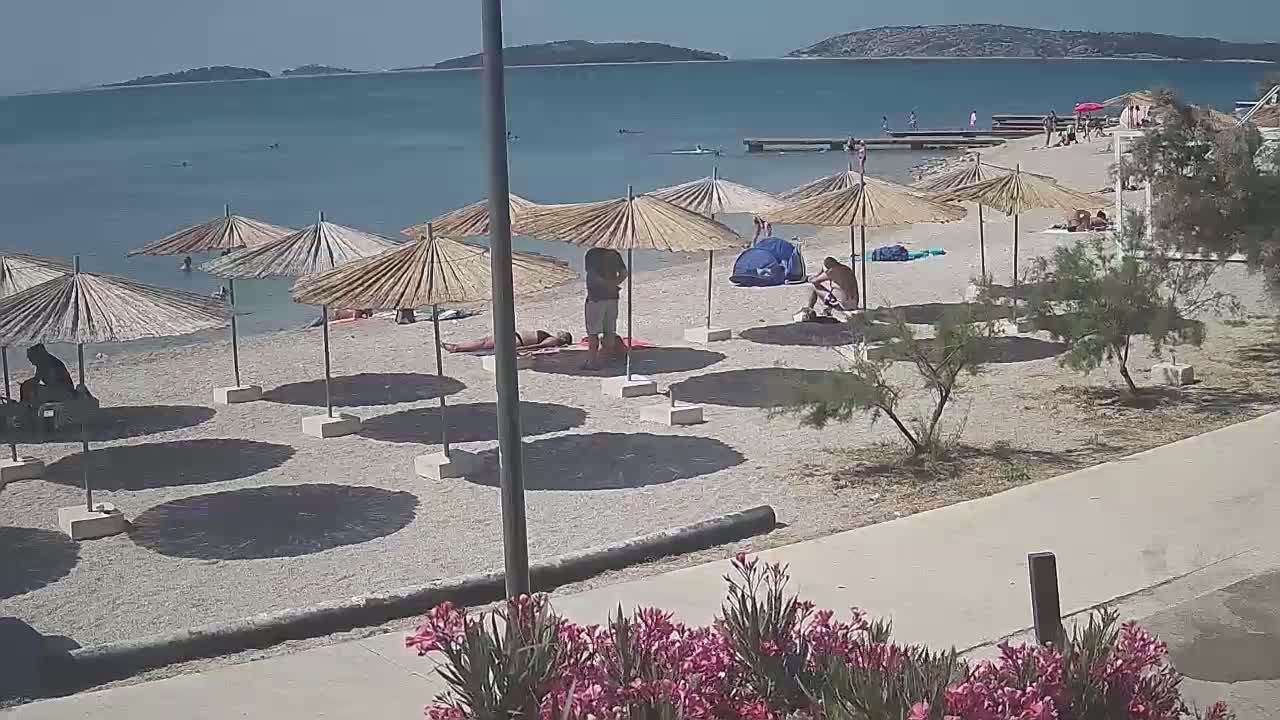 A sandy beach with numerous straw umbrellas, several people sunbathing and swimming in calm, clear water under a sunny sky, and a few small shrubs in the foreground.
