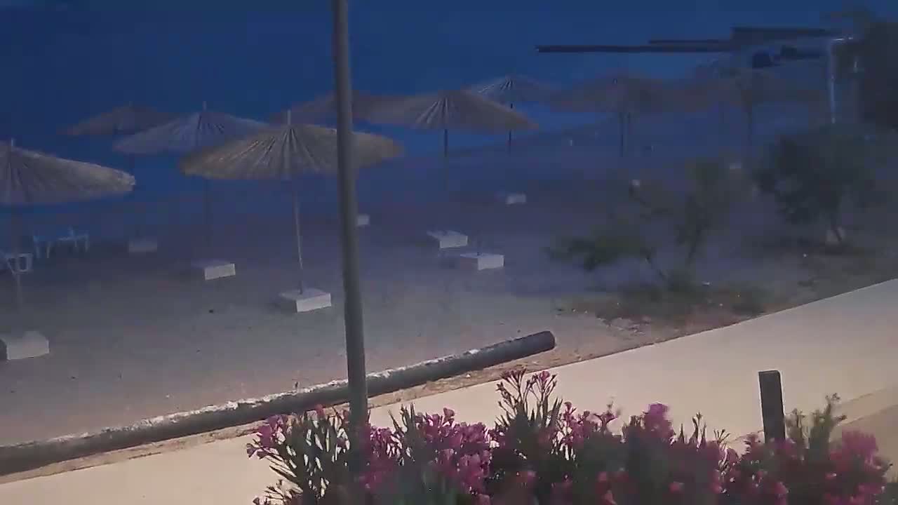 A mostly empty beach at twilight is dotted with several closed straw umbrellas and small white tables, a dark log lies on the sand near a paved walkway bordered by flowering bushes.