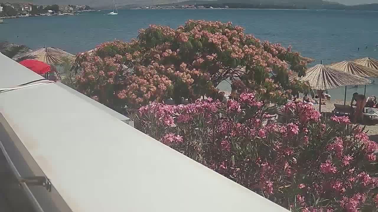 A calm bay is seen from above a flowering bush, overlooking a beach with people relaxing under umbrellas.