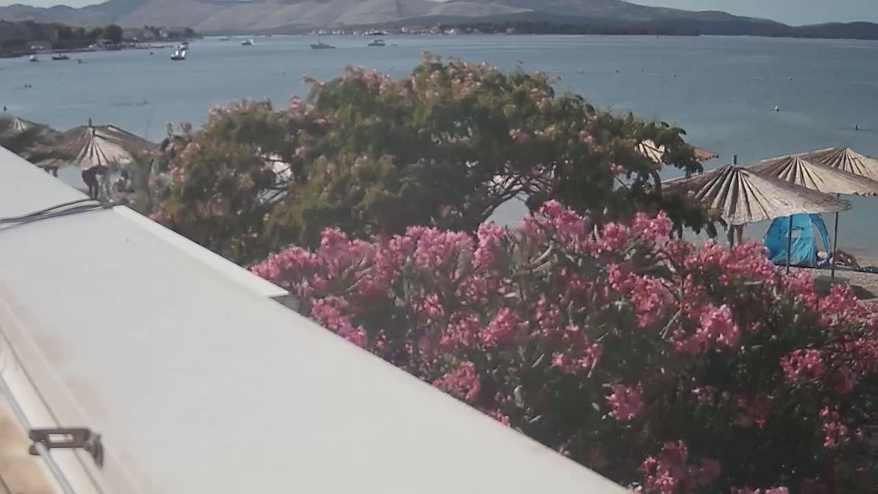 A beach scene with calm water, several straw umbrellas, a blue pop-up tent, pink flowering bushes in the foreground, and a distant mountain range under a clear sky.
