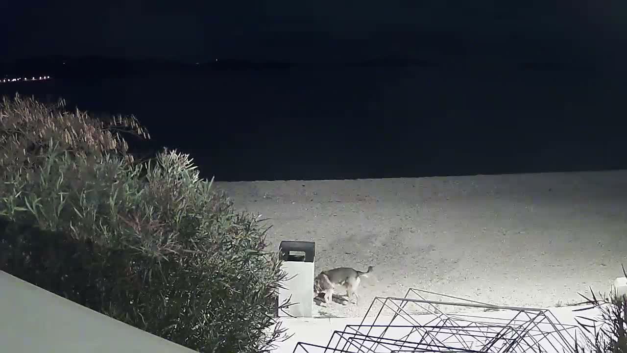 Riviera Brodarica Beach & Adriatic Dalmatia Coast Live Cam - Sibenic, Šibenik-Knin, Croatia