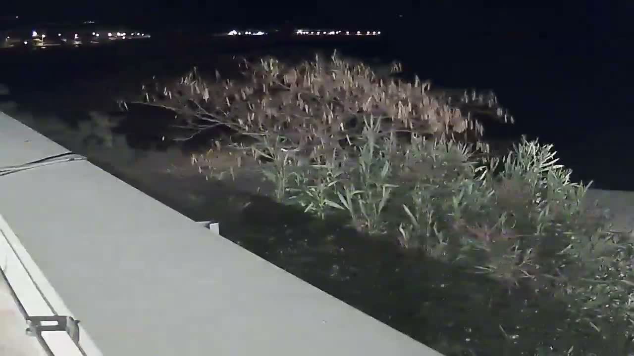 Riviera Brodarica Beach & Adriatic Dalmatia Coast Live Cam - Sibenic, Šibenik-Knin, Croatia