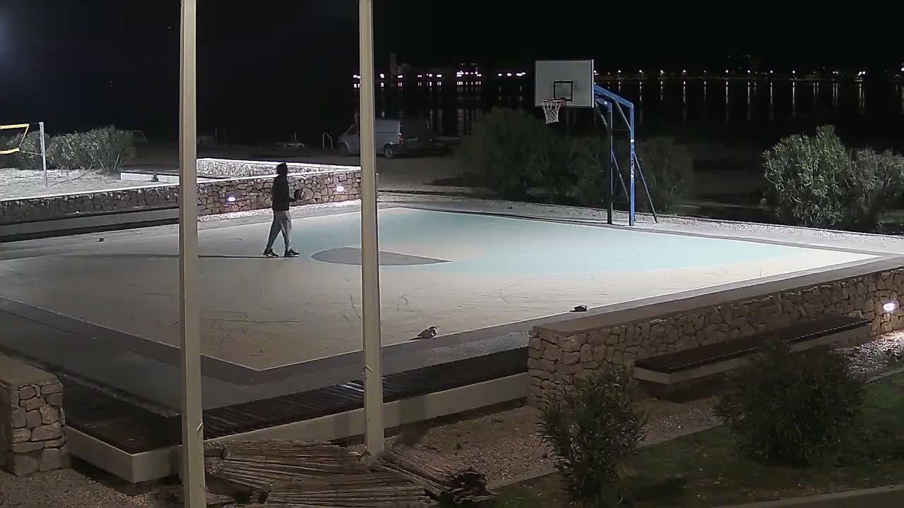 A tranquil bay with distant hills is viewed under a partly cloudy sky with muted sunlight, bordered by a narrow sandy beach and dark green foliage, a trash can, and geometric metal structures in the immediate foreground.