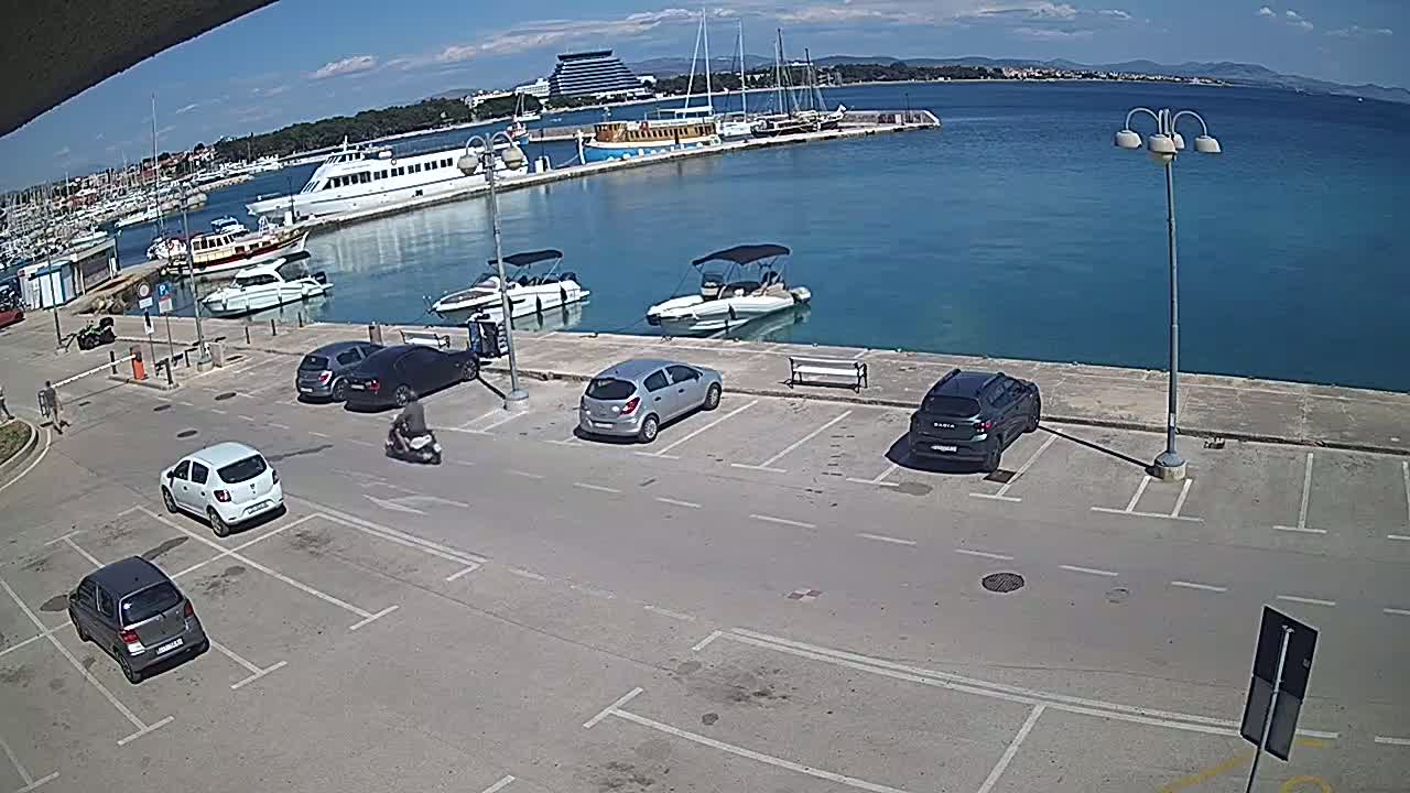 A sunny day shows a harbor with several boats and cars parked in a lot beside it.